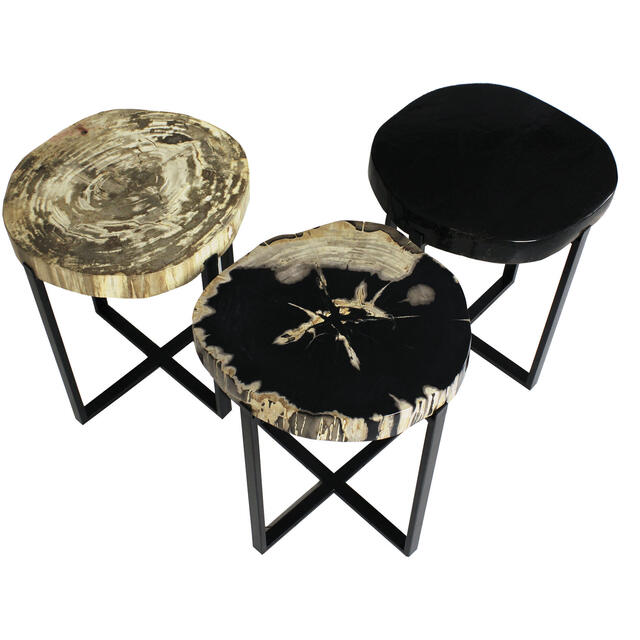 Peter Disk Lamp Table with Petrified Wood Top & Black Frame image 4