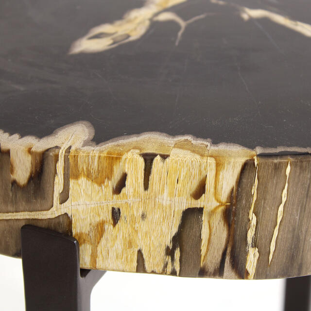 Peter Disk Lamp Table with Petrified Wood Top & Black Frame image 5