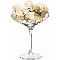 Large Champagne Saucer Vase 30cm by Solavia