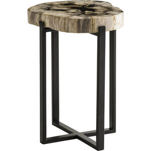 Peter Disk Lamp Table with Petrified Wood Top & Black Frame